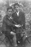 Two Viennese Jewish cousins pose together with a bicycle.