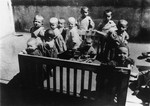 Jewish toddlers play outside in a large playpen in the courtyard of an orphanage in the Leszniow ghetto.