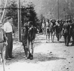 Emaciated survivors walk along a road in the newly liberated Ebensee concentration camp.