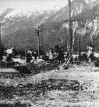Austrian civilians exhume mass graves in the Ebensee concentration camp.