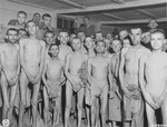 Group portrait of emaciated survivors in the infirmary barracks for non-Jewish prisoners in the Ebensee concentration camp.