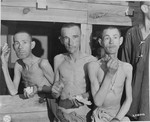 Three survivors suck on sugar cubes provided by American soldiers in the infirmary barracks for non-Jewish prisoners in the Ebensee concentration camp.