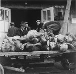 Austrian civilians load the bodies of Ebensee prisoners onto a cart for burial.