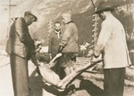 Austrians clearing corpses in the Ebensee concentration camp.