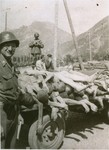 An American colonel poses next to a wagon loaded with the bodies of former prisoners at the newly liberated Ebensee concentration camp.