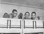Survivors look out from the upper tier of a bunk in the infirmary barracks for Jewish prisoners in the Ebensee concentration camp.