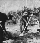Austrian civilians exhume a mass grave in the Ebensee concentration camp.
