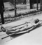 A Hungarian Jewish prisoner who has just died lies on a stretcher in the Ebensee concentration camp.
