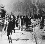 American soldiers walk among emaciated survivors along a road in the Ebensee concentration camp.