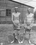 Two emaciated survivors stand behind a barbed wire fence in the hospital compound at the Ebensee concentration camp.
