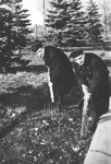 Two Jewish members of the Sixth Labor Battalion (VI Prapor) dig out the foundation of a barracks at a Slovak labor camp.