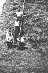 Jewish youth in hiding pose with other agricultural workers on a ladder next to a haystack on a farm in Treves.