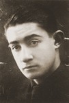 Portrait of Zvi Hirsch Harmatz.