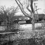 View of the open railcars of the Dachau death train.
