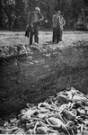 German civilians look into a mass grave near the Dachau concentration camp.