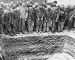 Survivors in Dachau peer into an open mass grave.