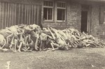 Corpses piled behind the crematorium.