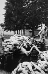 Survivors unload a wagon full of corpses behind the crematorium.