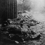 The bodies of summarily executed SS personnel lie in the foreground behind the crematorium, while behind them the corpses of prisoners are visible.
