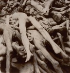 A pile of corpses in the newly liberated Dachau concentration camp.