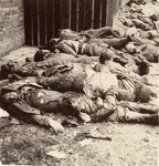 The bodies of SS personnel who were executed by U.S.