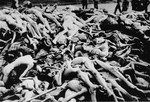 A pile of corpses lies on the ground in the newly liberated Dachau concentration camp.