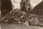 Corpses piled behind the crematorium.