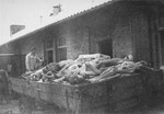 A survivor at work in Dachau clearing corpses from the mortuary below the crematorium.
