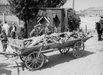 U.S. troops watch a passing cart laden with corpses intended for burial leave the compound of the Dachau concentration camp.