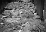 Corpses lie in one of the open railcars of the Dachau death train.