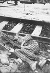 The corpse of a prisoner which fell out of one of the railcars of the Dachau death train when American troops opened the door.