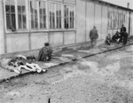 Survivors and corpses outside of a barracks in Dachau.