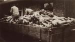 Survivors in Dachau remove bodies from the cellar of the crematorium.