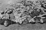 Corpses lie in a pile on the ground in the newly liberated Dachau concentration camp.