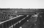 View of a section of the Neuengamme concentration camp after liberation.