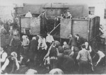 Jewish men at forced labor unload a wagon laden with coal.