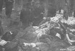 Members of the Commission for the Investigation of Nazi and Arrow Cross Atrocities examine the bodies of Jews in the courtyard of the Dohany Street Synagogue.