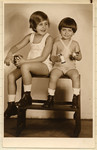Studio portrait of two Czech-Jewish siblings sitting on a step-stool.