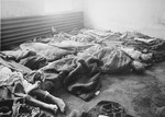 Corpses of Auschwitz prisoners in block 11 of the main camp (Auschwitz I), as discovered by Soviet war crimes investigators.