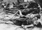 Corpses of murdered victims in Auschwitz.