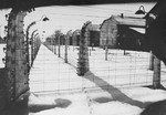 View of a section of the barbed wire fence and barracks at Auschwitz at the time of the liberation of the camp.