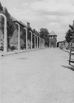 View of a road in the Auschwitz concentration camp.