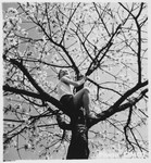 A young boy climbs a tree outside the Mehoncourt children's home.