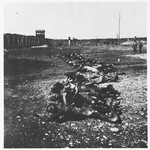 Bodies are laid out in a row for burial in the Dachau concentration camp.