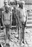A group of naked Soviet POWs, who in the fall of 1944 were sent back to the Mauthausen main camp from the satellite camp of Melk, stand in line during a roll call.