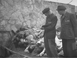 Survivors counting the corpses of prisoners killed in the Mauthausen concentration camp.