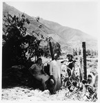 Three Jewish immigrants to Venezuela pose in a cactus field.