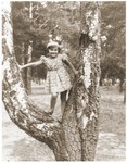 Salusia Goldblum poses in a tree in a park in Zarki.