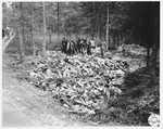 A group of German civilians stand with their shovels among the corpses of Nazi victims they have just exhumed from a mass grave in Stamsried, Germany.