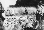 Female German civilians from Nammering are forced to view the corpses of prisoners exhumed from a mass grave near the town.